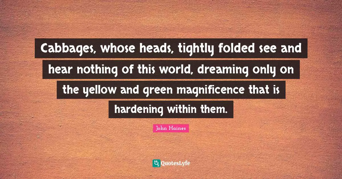 Cabbages, whose heads, tightly folded see and hear nothing of this world, dreaming only on the yellow and green magnificence that is hardening within them.