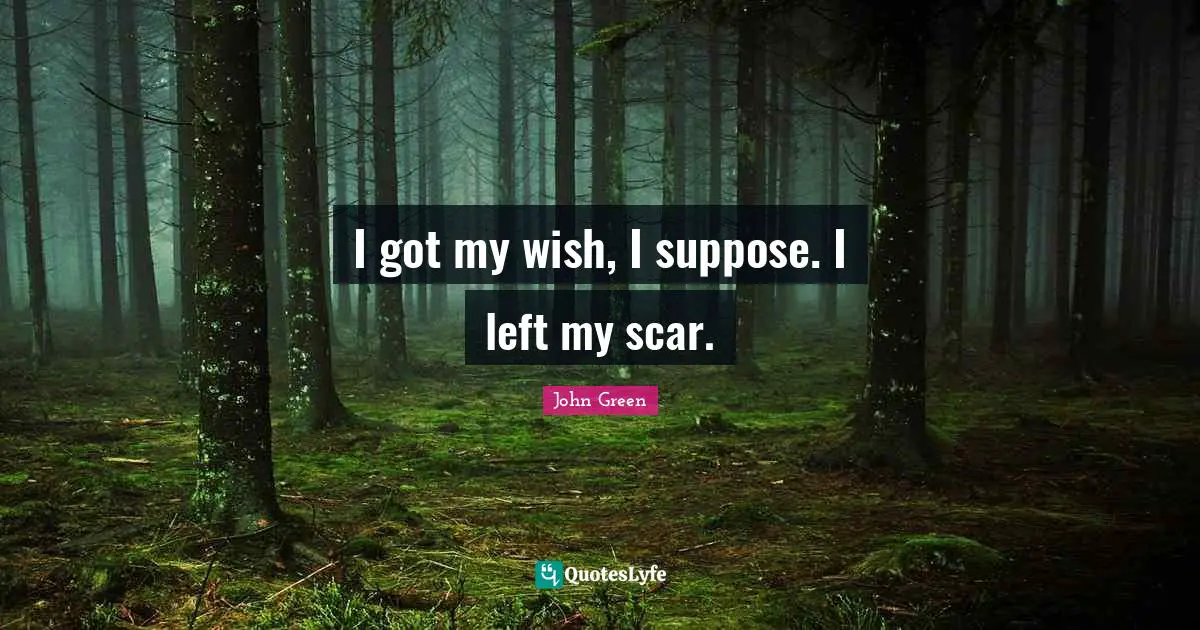 I got my wish, I suppose. I left my scar.