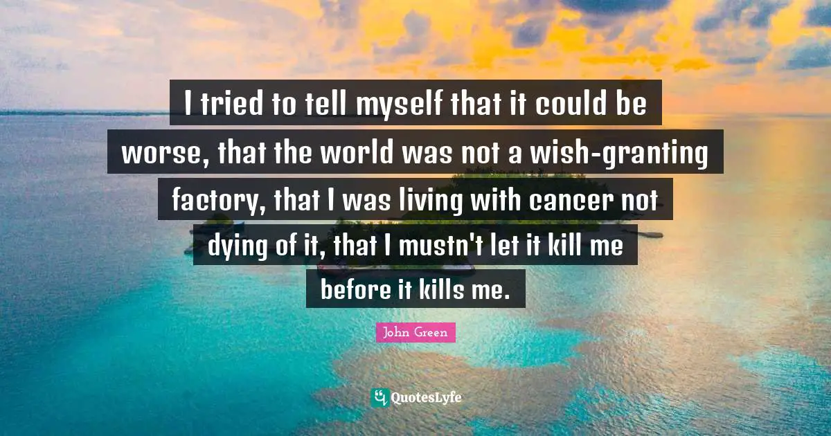 I tried to tell myself that it could be worse, that the world was not a wish-granting factory, that I was living with cancer not dying of it, that I mustn't let it kill me before it kills me.