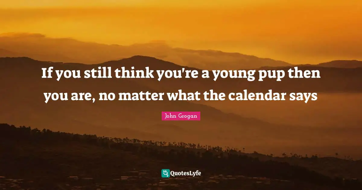 Calendars Quotes: "If you still think you're a young pup then you are, no matter what the calendar says"