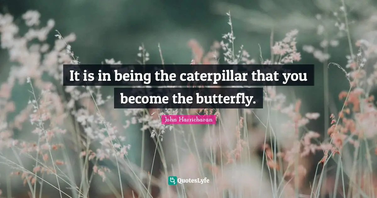 It is in being the caterpillar that you become the butterfly.