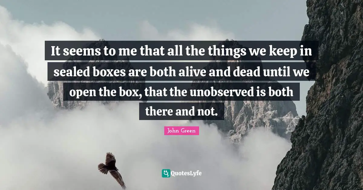 It seems to me that all the things we keep in sealed boxes are both alive and dead until we open the box, that the unobserved is both there and not.