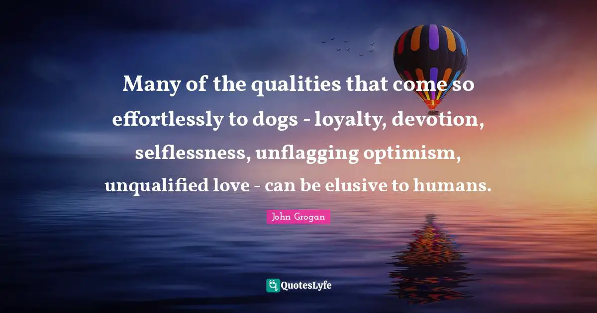 Many of the qualities that come so effortlessly to dogs - loyalty, devotion, selflessness, unflagging optimism, unqualified love - can be elusive to humans.