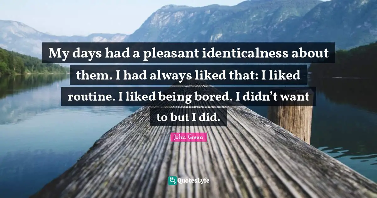 My days had a pleasant identicalness about them. I had always liked that: I liked routine. I liked being bored. I didn’t want to but I did.
