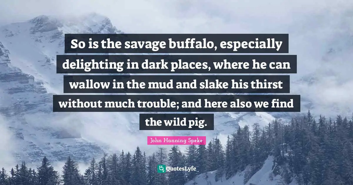 So is the savage buffalo, especially delighting in dark places, where he can wallow in the mud and slake his thirst without much trouble; and here also we find the wild pig.