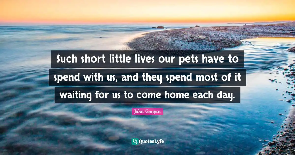 Such short little lives our pets have to spend with us, and they spend most of it waiting for us to come home each day.