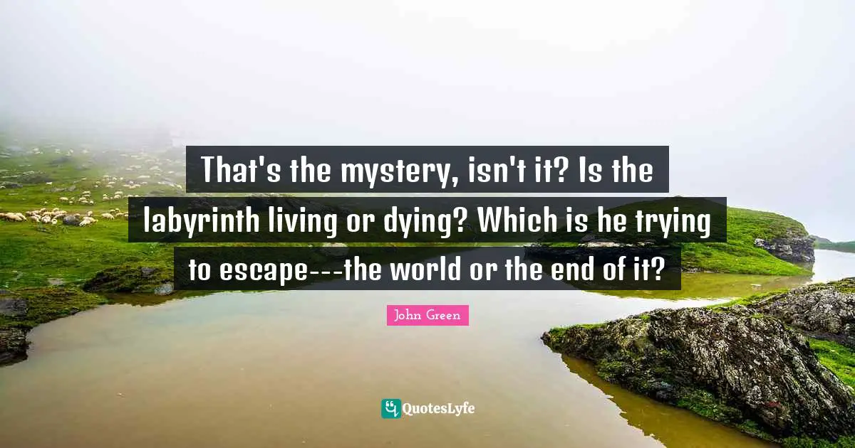 That's the mystery, isn't it? Is the labyrinth living or dying? Which is he trying to escape---the world or the end of it?