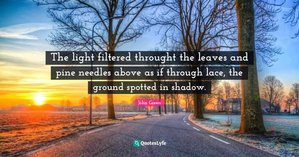 Lace Quotes: "The light filtered throught the leaves and pine needles above as if through lace, the ground spotted in shadow."