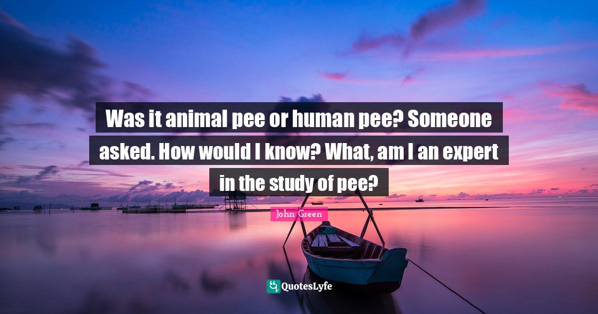 Was it animal pee or human pee? Someone asked. How would I know? What,... Quote by John Green