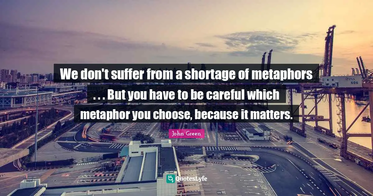 We don't suffer from a shortage of metaphors . . . But you have to be careful which metaphor you choose, because it matters.