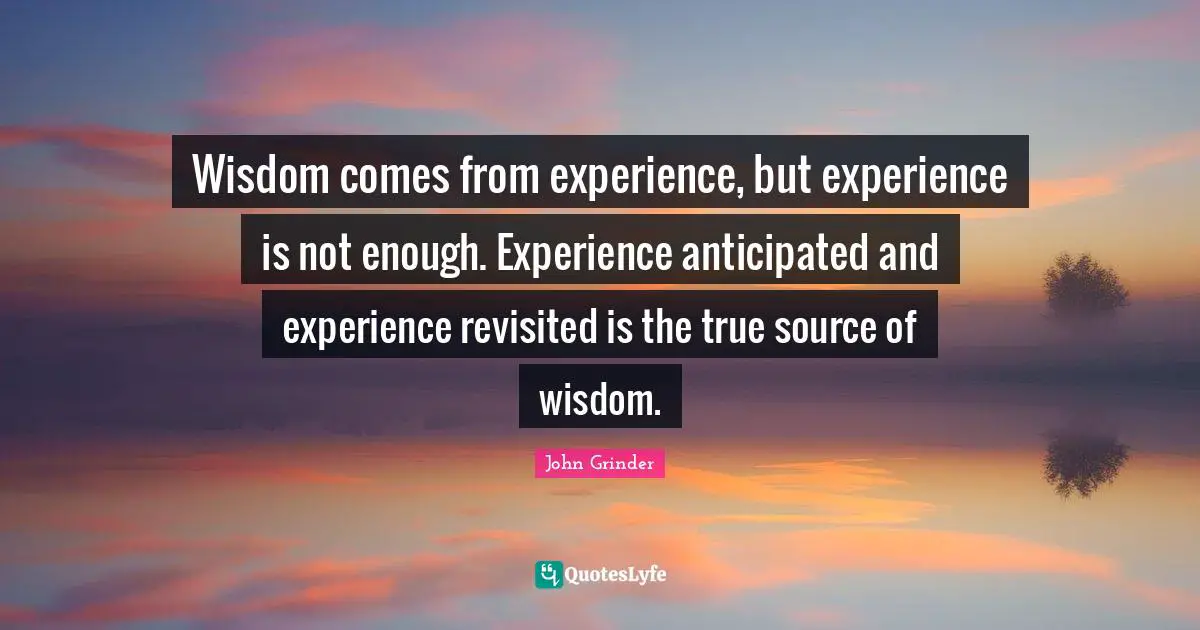 Wisdom comes from experience, but experience is not enough. Experience anticipated and experience revisited is the true source of wisdom.