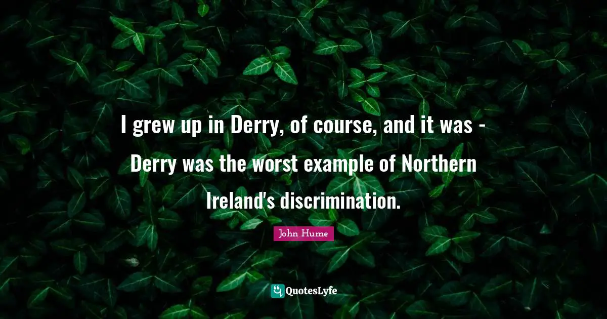 I grew up in Derry, of course, and it was - Derry was the worst example of Northern Ireland's discrimination.
