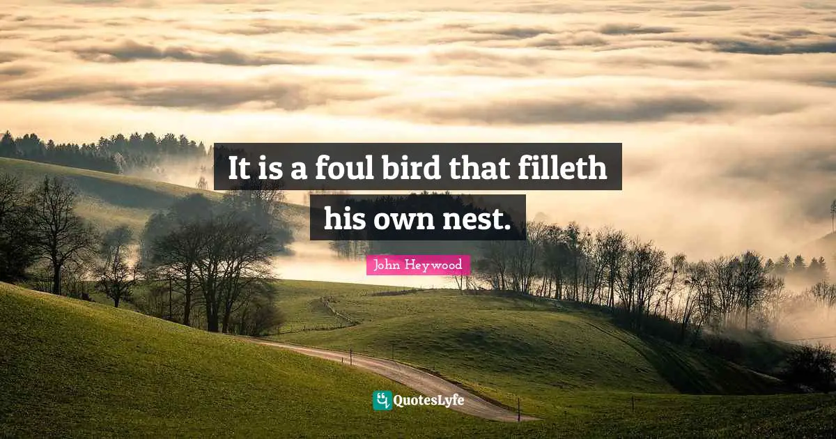 It is a foul bird that filleth his own nest.