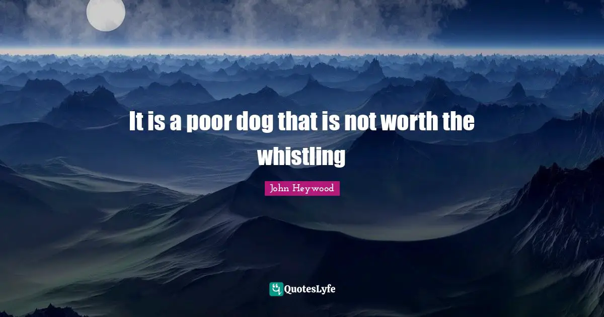 It is a poor dog that is not worth the whistling