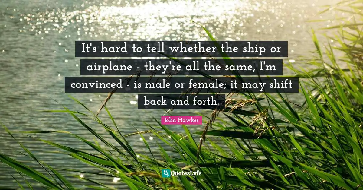 It's hard to tell whether the ship or airplane - they're all the same, I'm convinced - is male or female; it may shift back and forth.