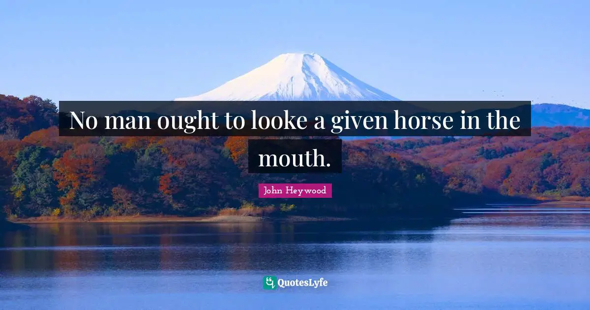 John Heywood Quotes: "No man ought to looke a given horse in the mouth."