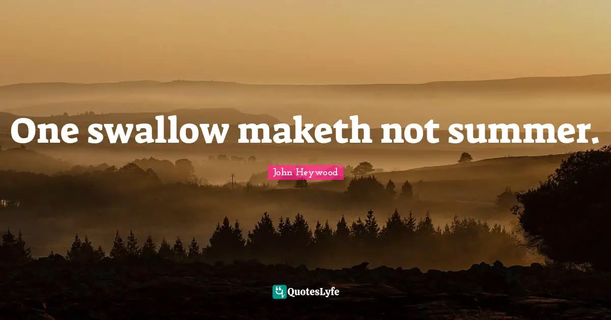 One swallow maketh not summer.