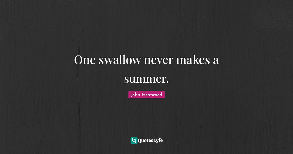 One swallow never makes a summer.