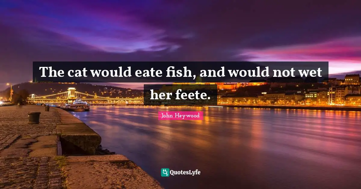 The cat would eate fish, and would not wet her feete.