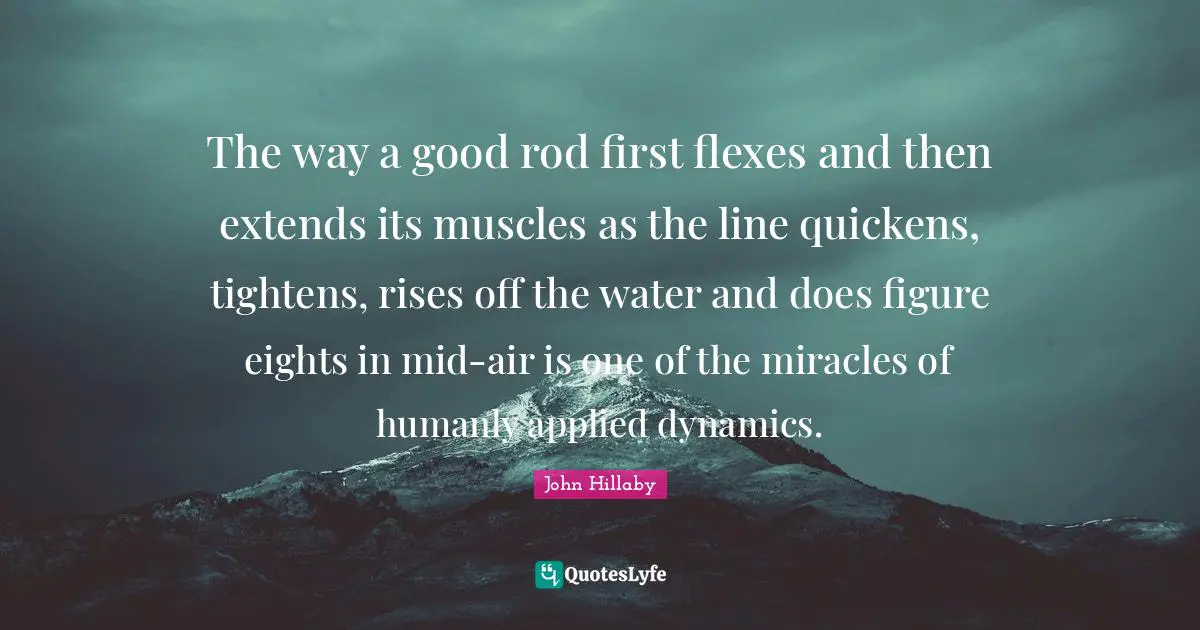 The way a good rod first flexes and then extends its muscles as the line quickens, tightens, rises off the water and does figure eights in mid-air is one of the miracles of humanly applied dynamics.