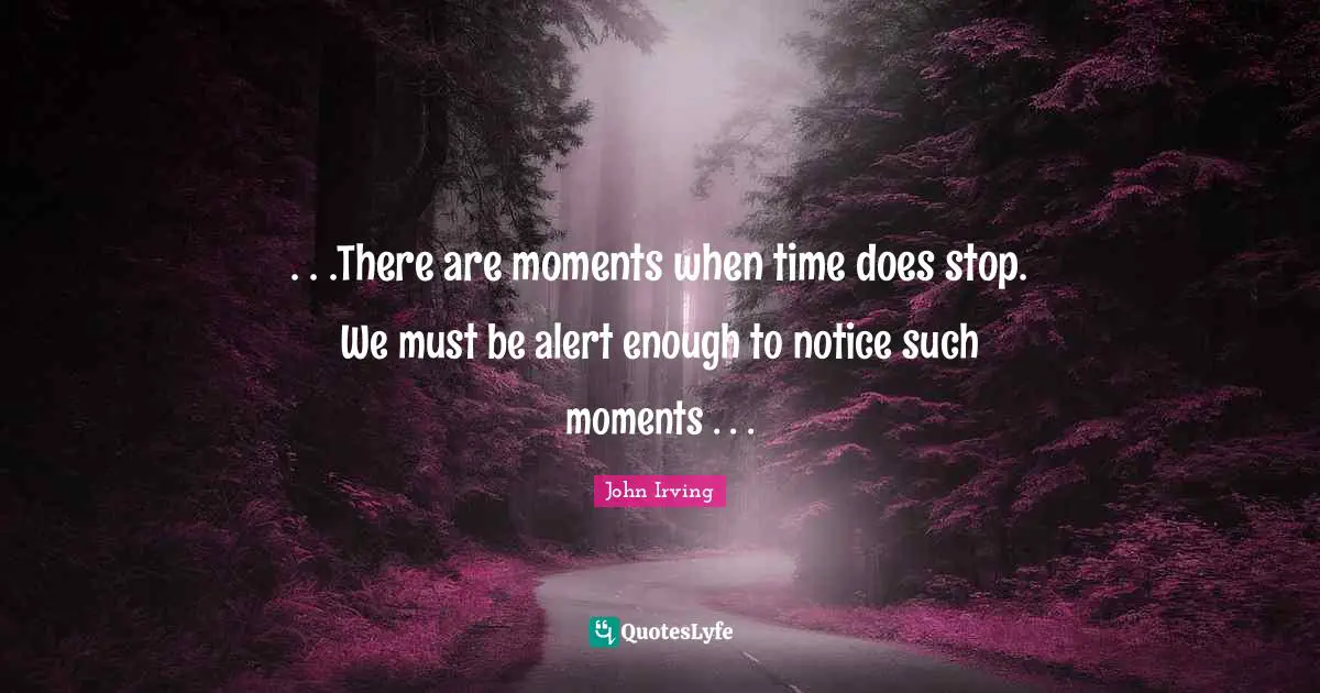 John Irving Quotes: ". . .There are moments when time does stop. We must be alert enough to notice such moments . . ."