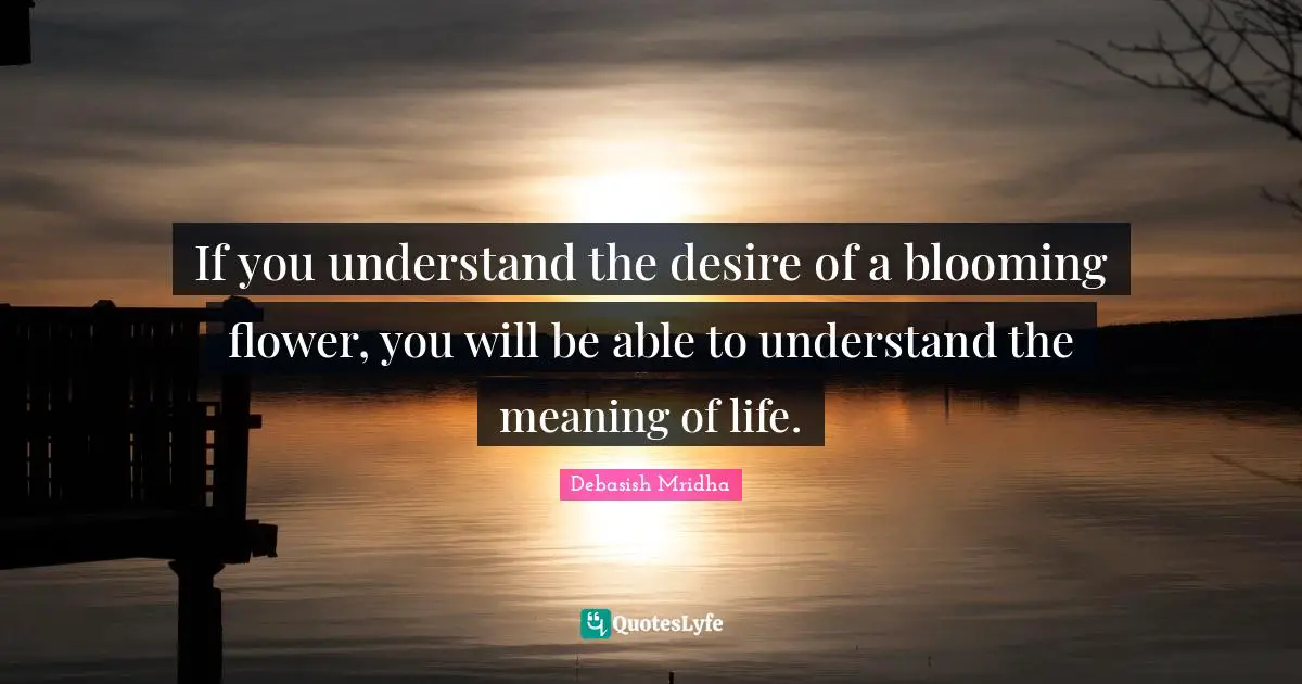 If you understand the desire of a blooming flower, you will be able to understand the meaning of life.