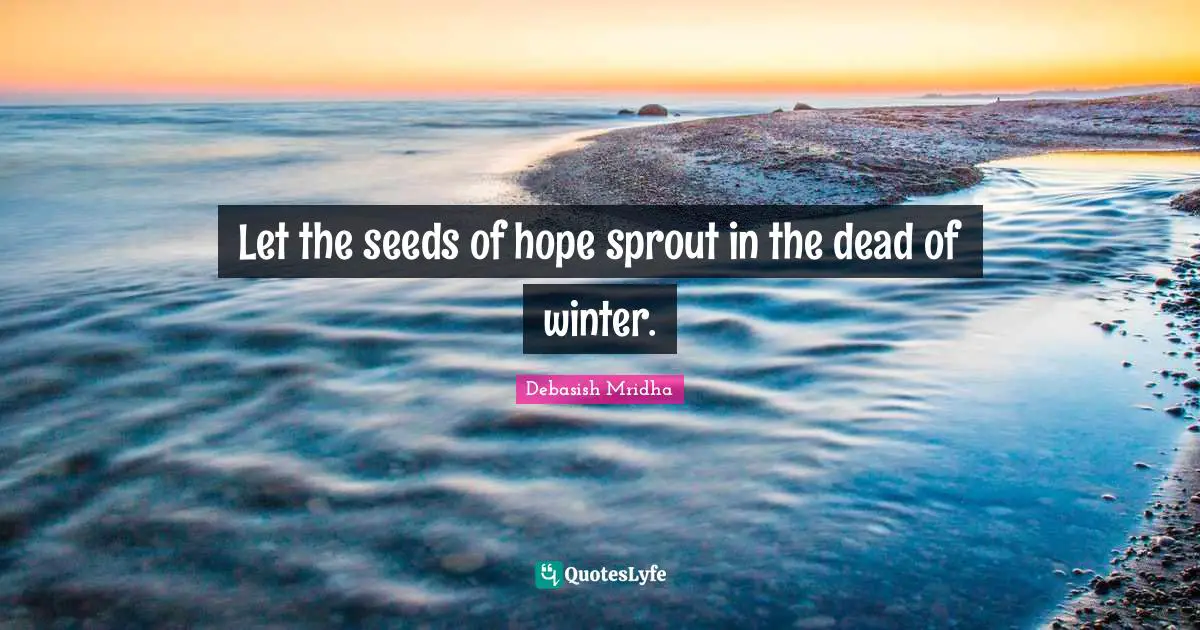 Let the seeds of hope sprout in the dead of winter.