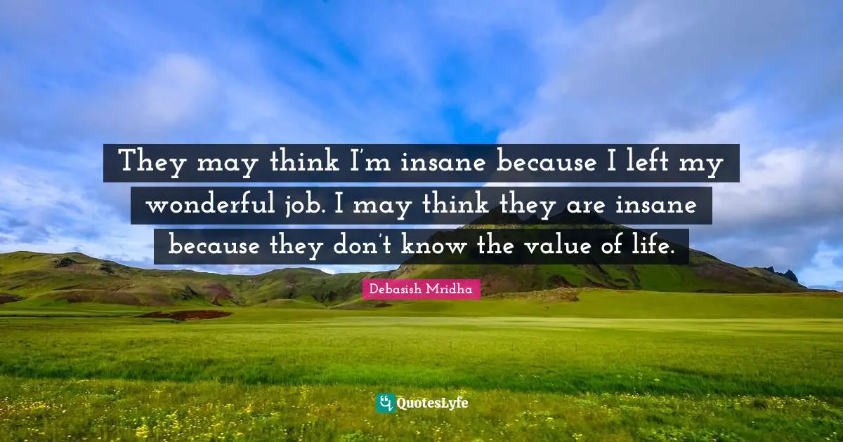 Value Of Life Quotes: "They may think I’m insane because I left my wonderful job. I may think they are insane because they don’t know the value of life."