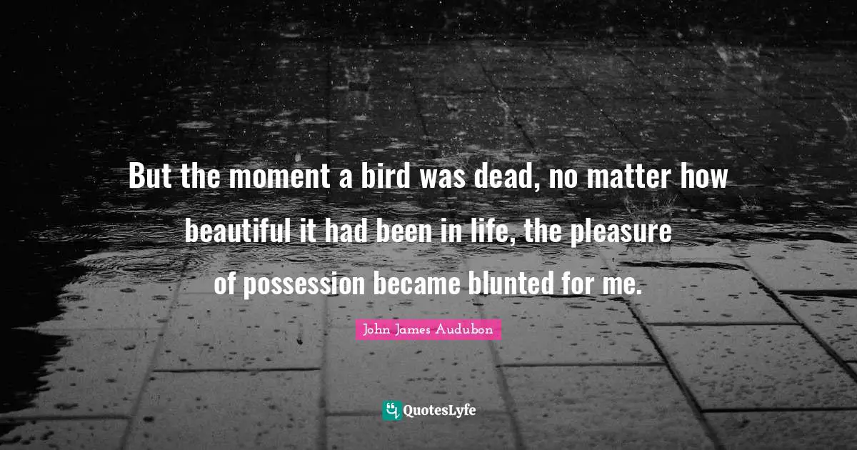 But the moment a bird was dead, no matter how beautiful it had been in life, the pleasure of possession became blunted for me.