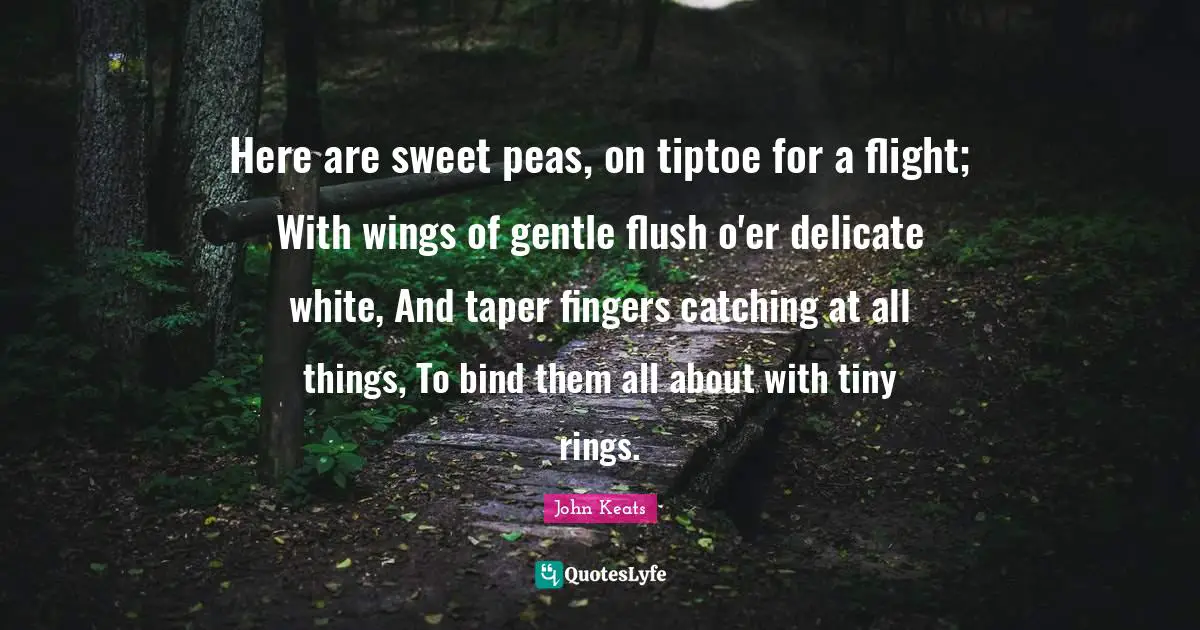 Gentle Quotes: "Here are sweet peas, on tiptoe for a flight; With wings of gentle flush o'er delicate white, And taper fingers catching at all things, To bind them all about with tiny rings."
