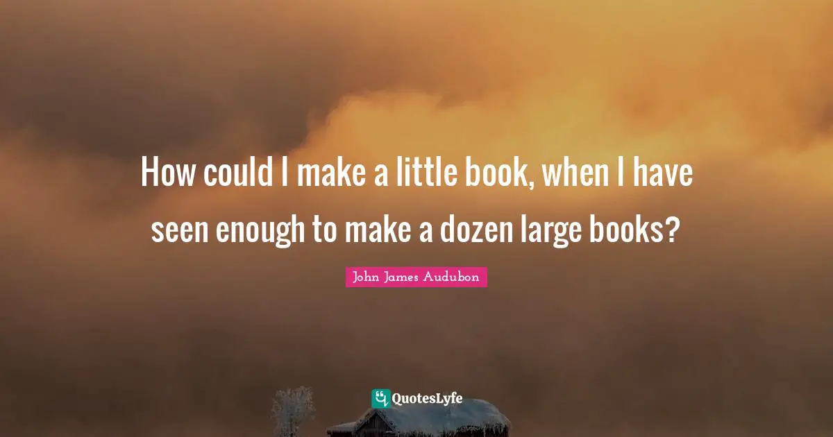 How could I make a little book, when I have seen enough to make a dozen large books?