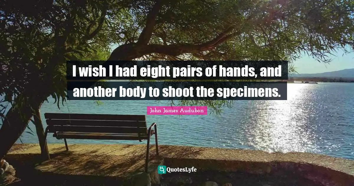 I wish I had eight pairs of hands, and another body to shoot the specimens.