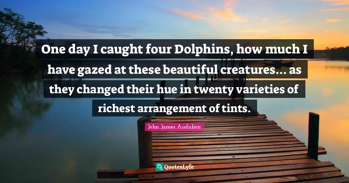 Hue Quotes: "One day I caught four Dolphins, how much I have gazed at these beautiful creatures... as they changed their hue in twenty varieties of richest arrangement of tints."