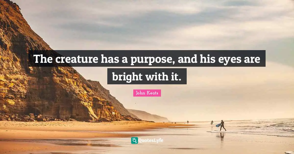 John Keats Quotes: "The creature has a purpose, and his eyes are bright with it."