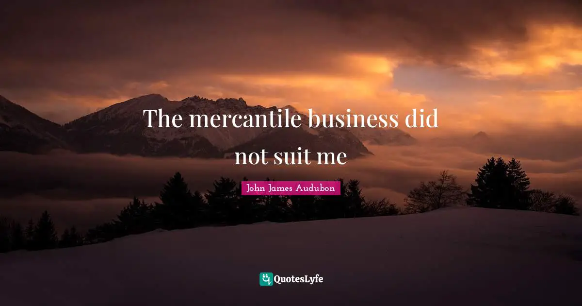 The mercantile business did not suit me