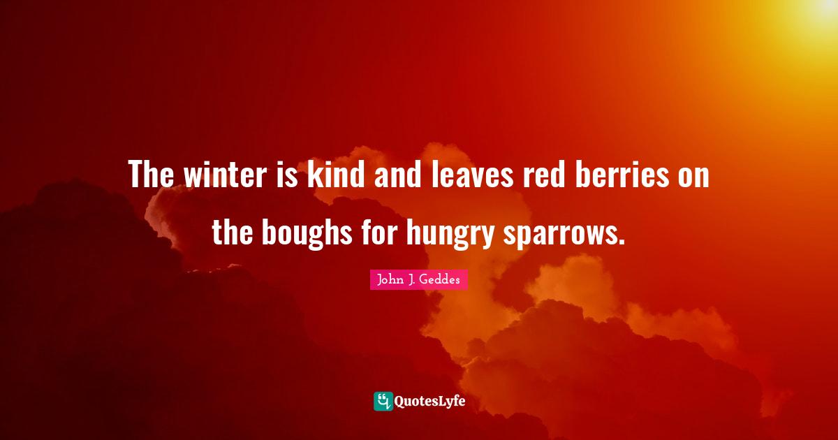 John J. Geddes Quotes: "The winter is kind and leaves red berries on the boughs for hungry sparrows."
