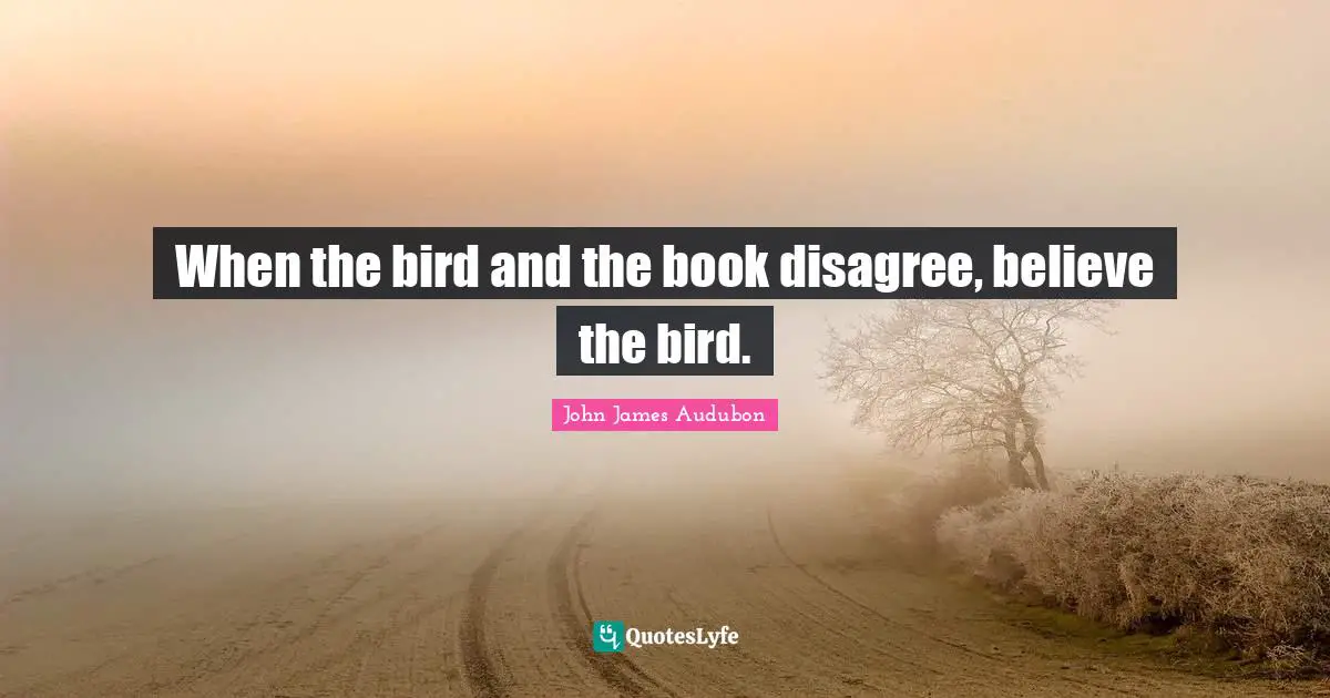 When the bird and the book disagree, believe the bird.