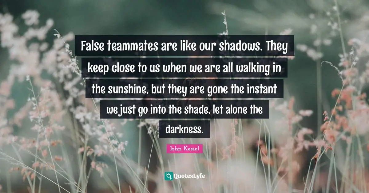 False teammates are like our shadows. They keep close to us when we are all walking in the sunshine, but they are gone the instant we just go into the shade, let alone the darkness.