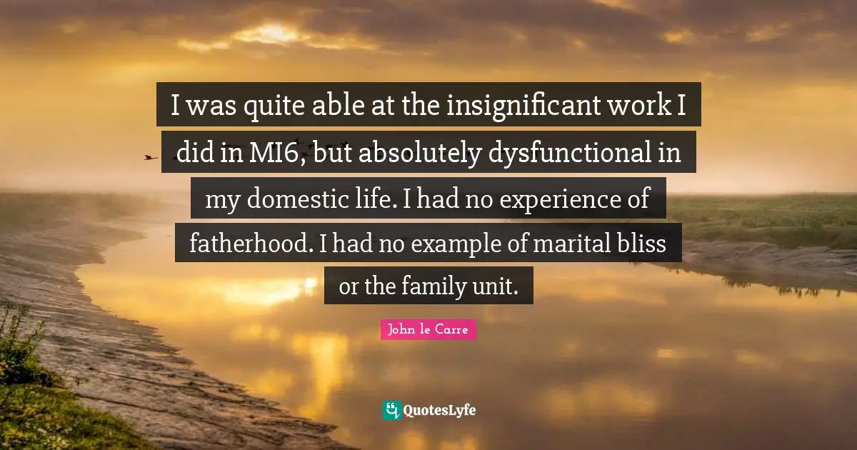 I was quite able at the insignificant work I did in MI6, but absolutely dysfunctional in my domestic life. I had no experience of fatherhood. I had no example of marital bliss or the family unit.
