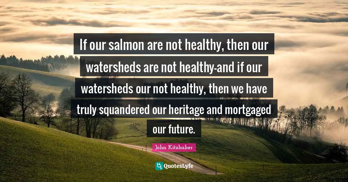 If our salmon are not healthy, then our watersheds are not healthy-and if our watersheds our not healthy, then we have truly squandered our heritage and mortgaged our future.