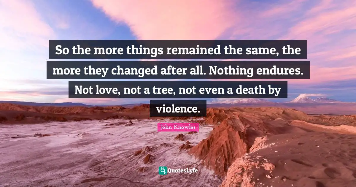 So the more things remained the same, the more they changed after all. Nothing endures. Not love, not a tree, not even a death by violence.