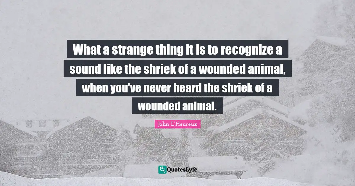 What a strange thing it is to recognize a sound like the shriek of a wounded animal, when you've never heard the shriek of a wounded animal.