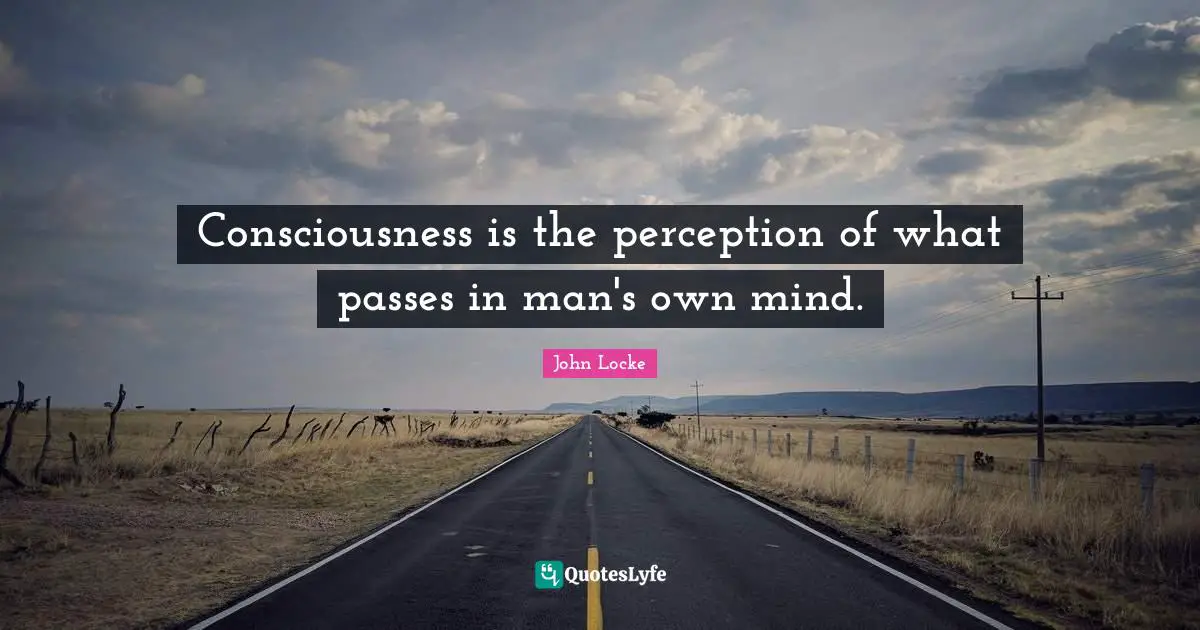 Consciousness is the perception of what passes in man's own mind.