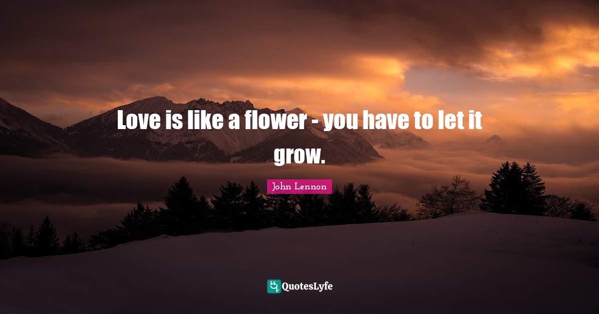 Love is like a flower you have to let it grow.... Quote by John