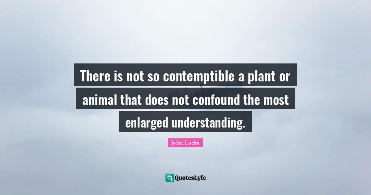There is not so contemptible a plant or animal that does not confound the most enlarged understanding.