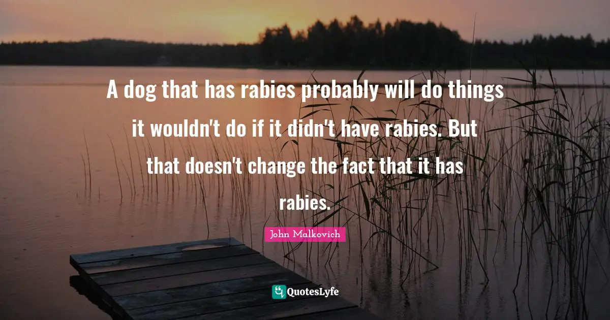 Rabies Quotes: "A dog that has rabies probably will do things it wouldn't do if it didn't have rabies. But that doesn't change the fact that it has rabies."