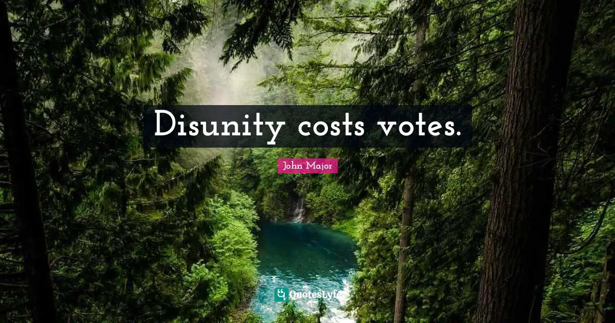 Disunity Quotes: "Disunity costs votes."