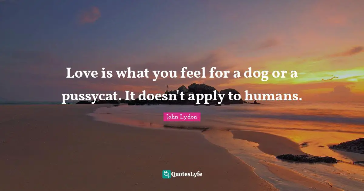 Love is what you feel for a dog or a pussycat. It doesn't apply to humans.