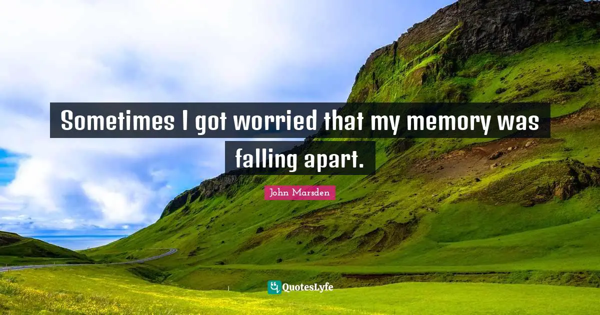 Sometimes I got worried that my memory was falling apart.