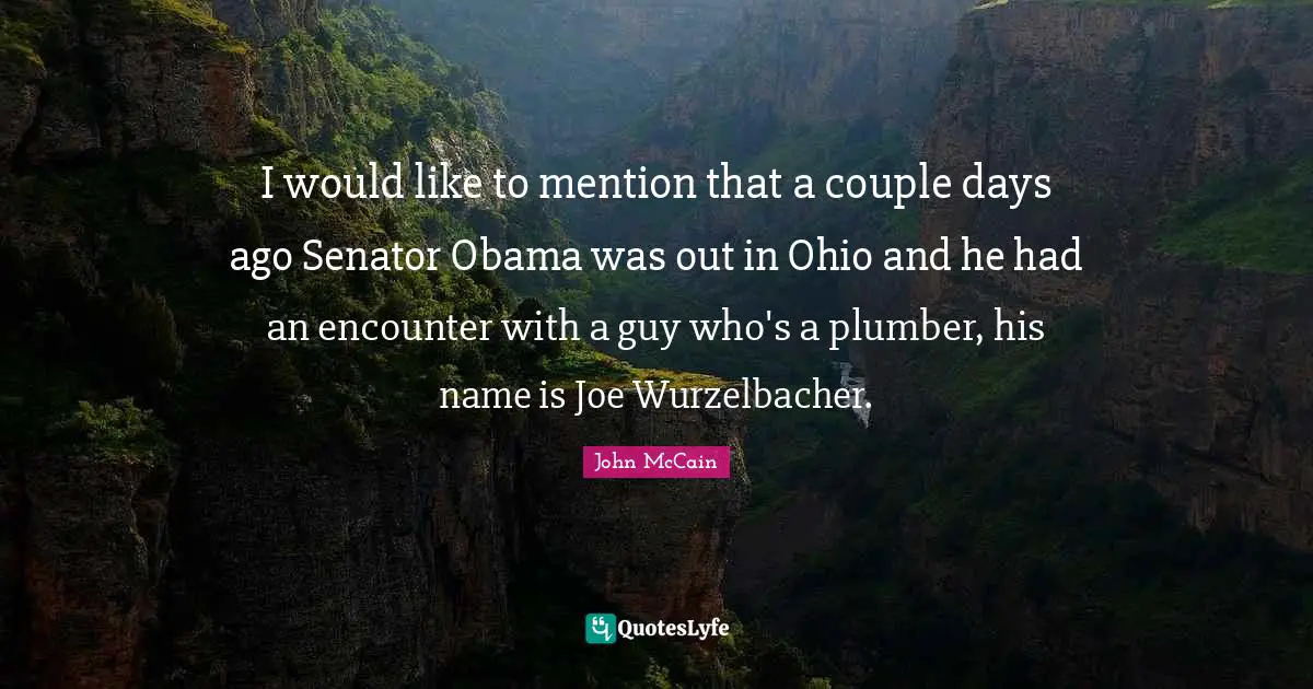 Plumber Quotes: "I would like to mention that a couple days ago Senator Obama was out in Ohio and he had an encounter with a guy who's a plumber, his name is Joe Wurzelbacher."